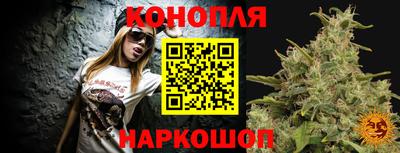 PSILOCYBIN Можга