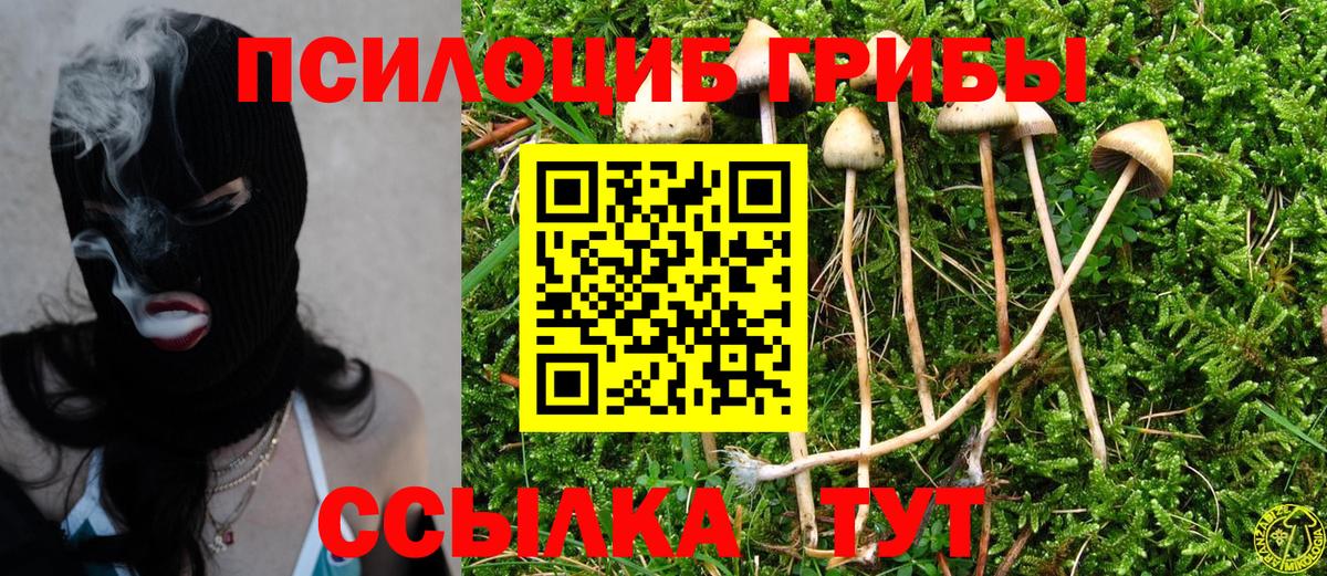 Галлюциногенные грибы прущие грибы  Вход с VPN  Галлюциногенные грибы мицелий  сколько стоит  Выкса 